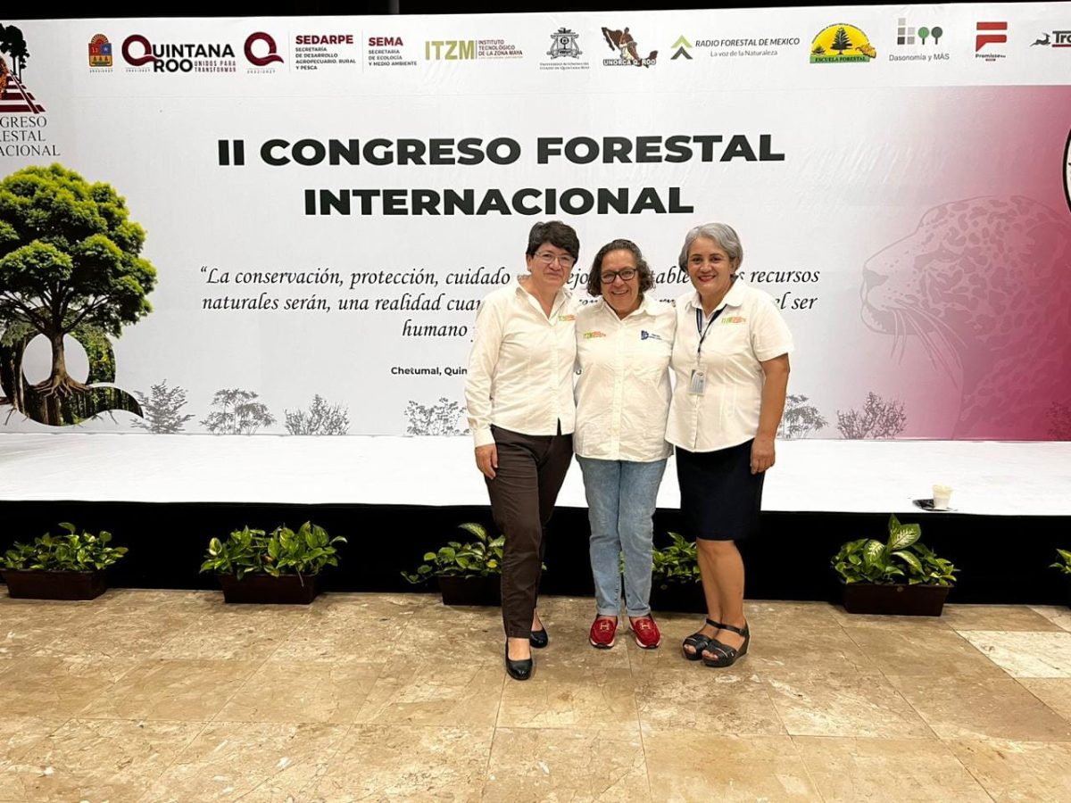 PARTICIPA EL INSTITUTO TECNOLÓGICO DE LA ZONA MAYA EN CONGRESO FORESTAL INTERNACIONAL