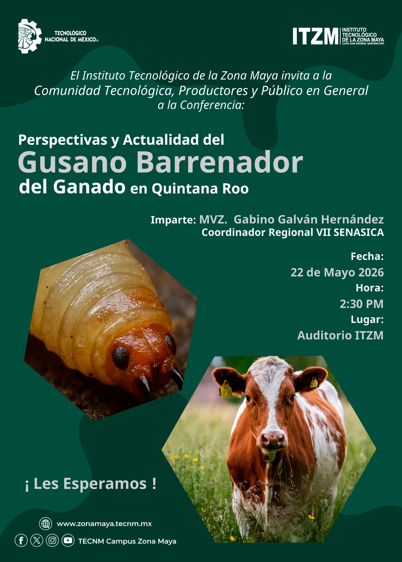 PERSPECTIVAS Y ACTUALIDAD DEL GUSANO BARRENADOR DEL GANADO EN QUINTANA ROO